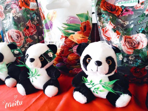 «Веселая панда» снова объединила школьников Новосибирска
